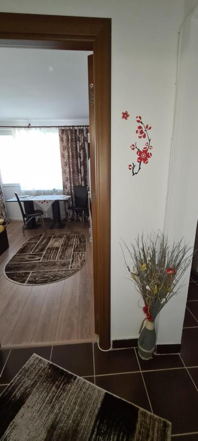 Casa Suzana Apartamento Piatra Neamţ Exterior foto
