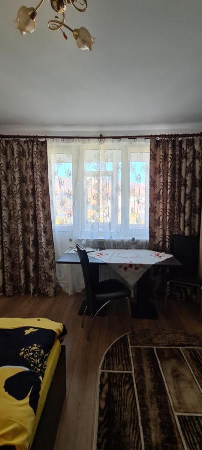 Casa Suzana Apartamento Piatra Neamţ Exterior foto