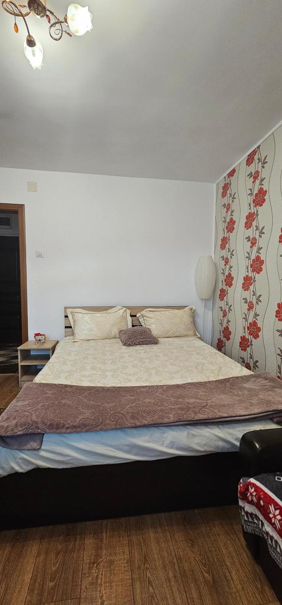 Casa Suzana Apartamento Piatra Neamţ Exterior foto